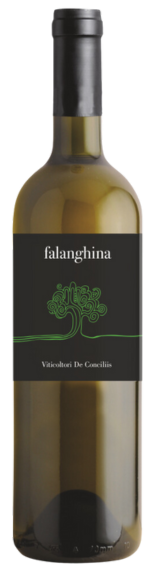 Bottle shot of 2022 Falanghina