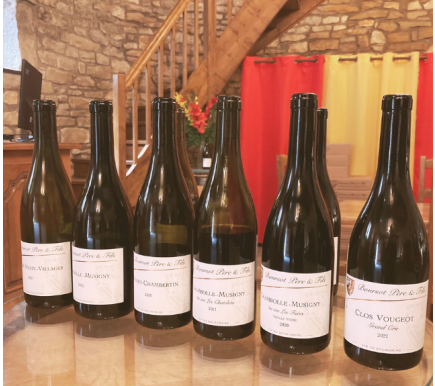 Image of producer Domaine Boursot Père & Fils