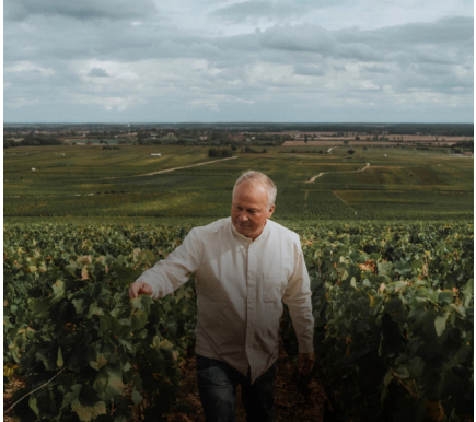 Image of producer Domaine de Montille